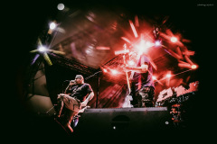 amd-39
