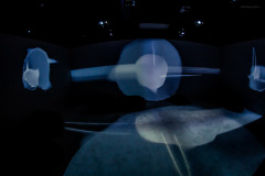 aivolution-106