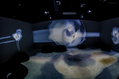 aivolution-107
