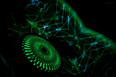 aivolution-11