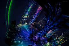 aivolution-2