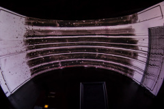 aivolution-34