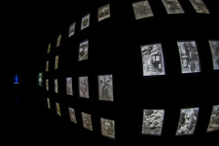 aivolution-36