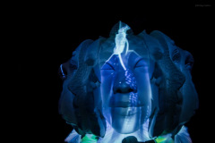 aivolution-52