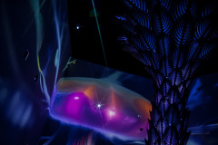 aivolution-7