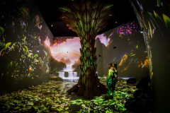 aivolution-72