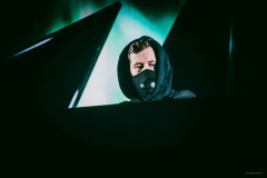 alanwalker-13