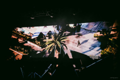 alanwalker-42