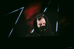 alanwalker-43