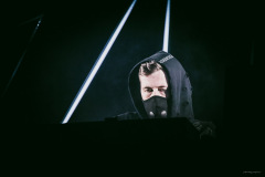 alanwalker-44