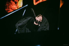 alanwalker-50