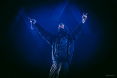 alanwalker-75