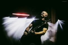 alterbridge-17