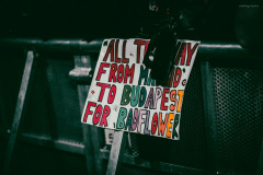 badflower-26