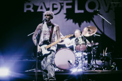 badflower-4