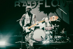 badflower-50
