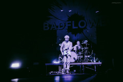 badflower-52
