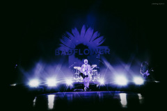 badflower-58