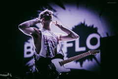 badflower-6