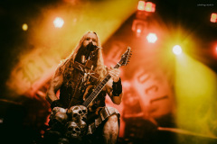bls-10