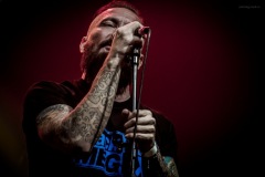 blackout-202