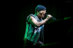 bruce-41