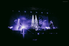carcass-156