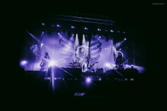carcass-157