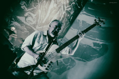 carcass-16
