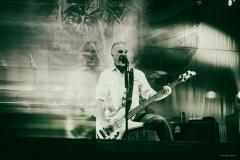 carcass-42