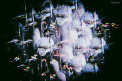 carsonc-13