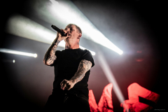 corey-6