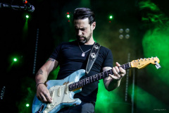 dp-7