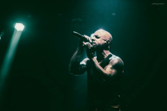 daughtry-40