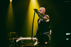 daughtry-51