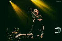 daughtry-52