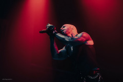 daughtry-80
