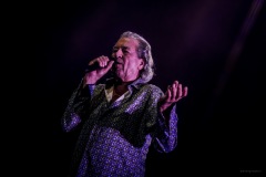deeppurple-104