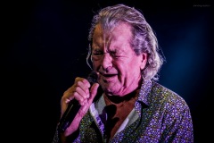 deeppurple-106