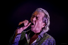 deeppurple-109
