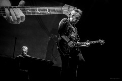 deeppurple-115