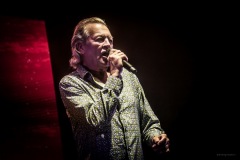 deeppurple-125