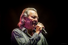 deeppurple-131