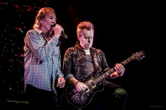 deeppurple-138