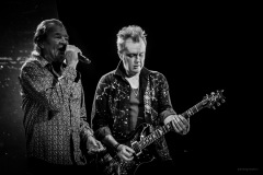 deeppurple-141