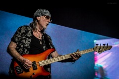 deeppurple-19