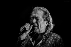 deeppurple-23