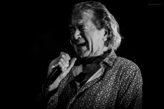 deeppurple-24