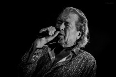 deeppurple-25