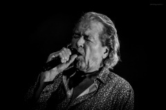 deeppurple-26